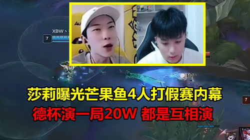 LPL选手揭露LDL内幕：4人打假赛真相！