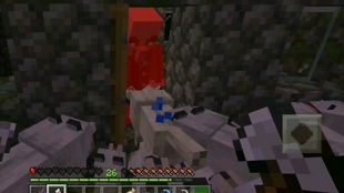 我的世界三级龙巢VS四级龙巢:等级大揭秘! 我的世界三级龙巢VS四级龙巢:等级大揭秘!