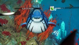 FF14小小巨嘴鸟攻略：7.1新宠物获取方法揭秘