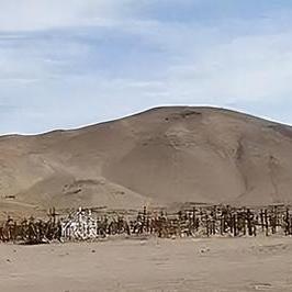 《第一后裔》5月升级：动态运动功能震撼来袭