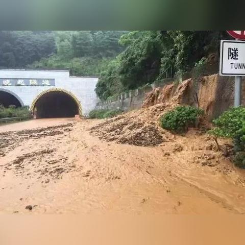 《动物井》制作人曝：新游研发仅需X月？破解耗时痛点