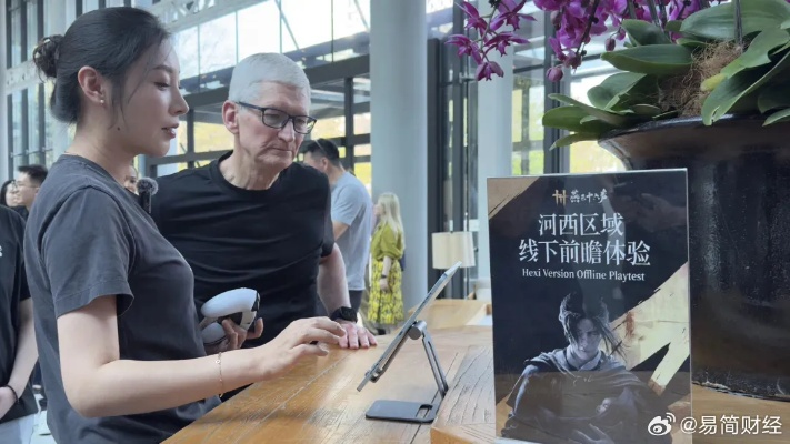 库克丁磊会面观摩《燕云十六声》