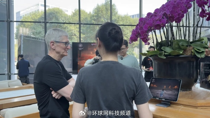 库克丁磊会面观摩《燕云十六声》