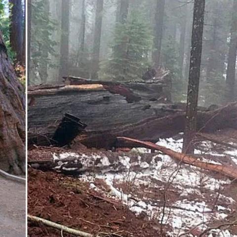 《暗黑风暴升级！N卡新驱动助《毁灭战士：黑暗时代》性能翻倍揭秘》