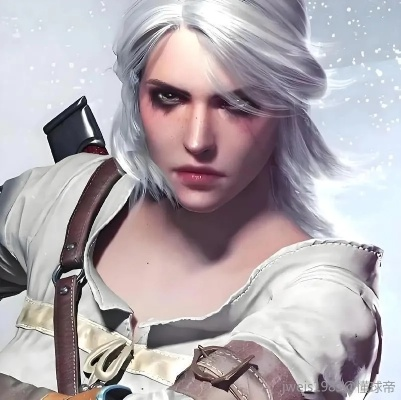 《巫师4》主角揭秘：希里竟早在2014年就被CDPR确认！