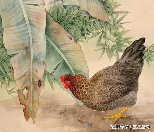 《黑夜降临，非肉鸽化演变：揭秘自然玩法之谜》