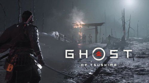 对马岛之魂：广袤世界复仇武士评测