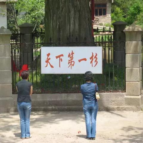 硝烟奇迹探寻记——《虔诚之花》评测