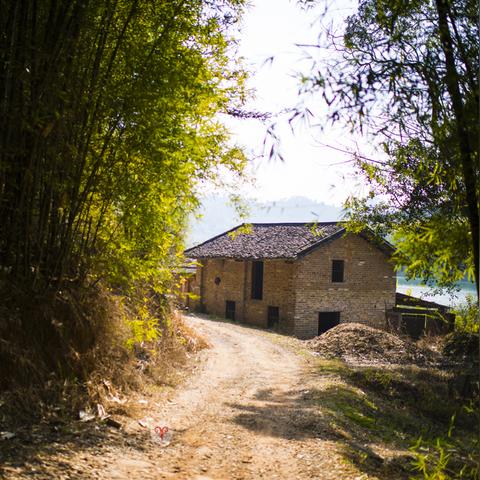 桃源记2五一福利兑换码大放送