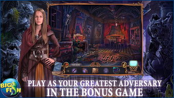 迷城陆区店主揭秘：独家解锁秘籍，探秘神秘领域！