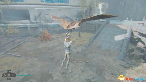 荒野翼龙挑战攻略：揭秘高效击落技巧！