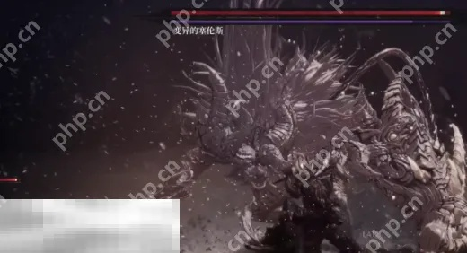 狂战士卡赞狂龙赫斯攻略核心技巧