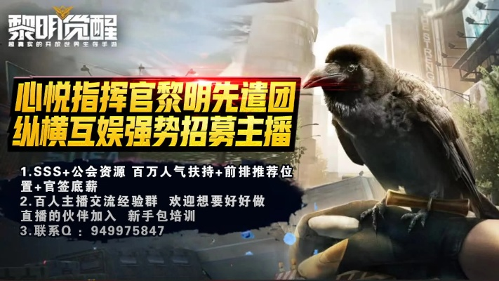 《黎明启程，揭秘急速通关秘籍！》