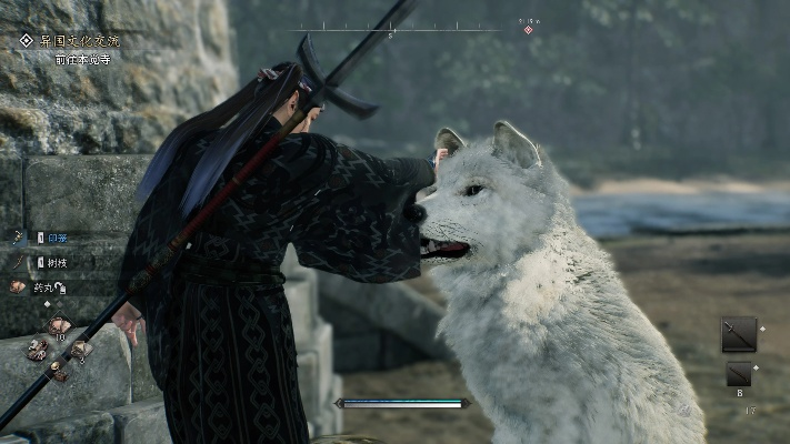 浪人崛起：拍摄家犬任务流程解析