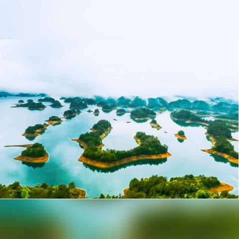 逆境重生秘籍！木材刷新新位置大揭秘，速来一探究竟