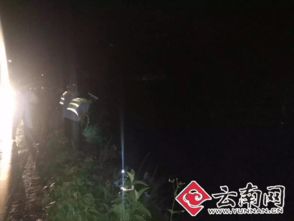 揭秘老葛线完美一天：隐藏攻略，错过等一年！