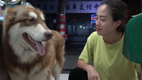 燕云十六声清河千佛村猫戏位置 燕云十六声清河千佛村猫戏位置