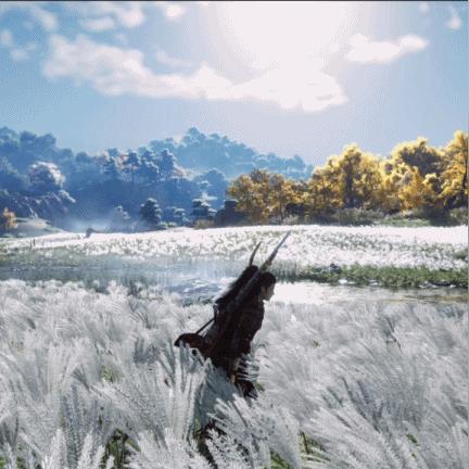 燕云十六声清河猫戏地点揭秘