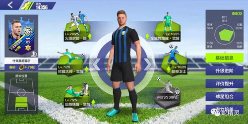 米姆米姆哈小火雀抓捕秘籍，独家技巧大揭秘！