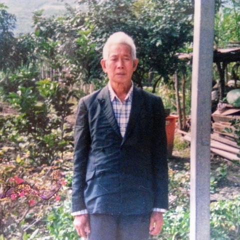 崩溃大陆2语言支持