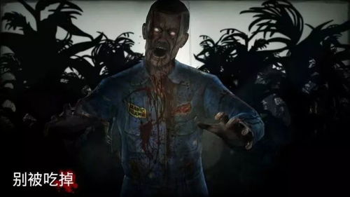 勇闯死人谷暗黑之日 推荐配置 高画质流畅运行