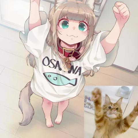 猫娘小萝莉部落：揭秘神秘档案，真相即将揭晓！