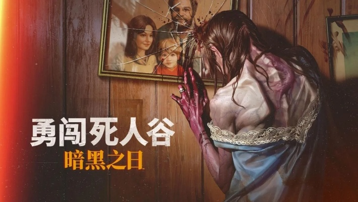 勇闯死人谷暗黑之日NS适配情况