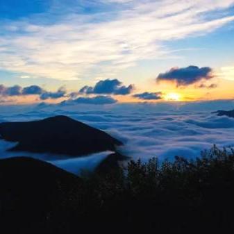 《重生秘境卡机？揭秘最强输出卡牌破解攻略！》