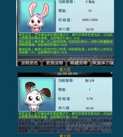 开放空间兔技能解析