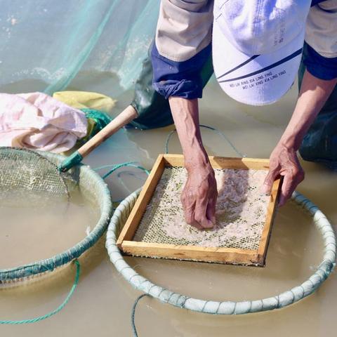 赶海物最佳出现时间揭秘