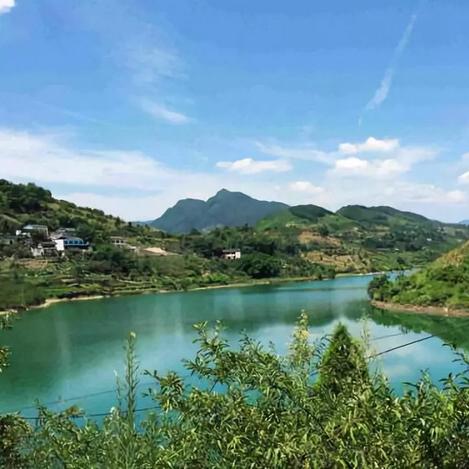 开放空间七级钓鱼攻略：图鉴大全