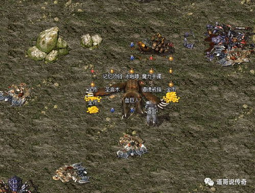 热血传奇血巨人爆率怎么样 血巨人会掉落哪些东西