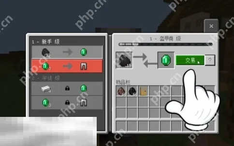 《2025独家揭秘：绿宝石货币兑换攻略，快速获取绿宝石秘籍！》