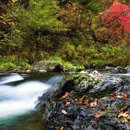 《一招轻松！Minecraft下雪秘籍，冬日奇景等你来》