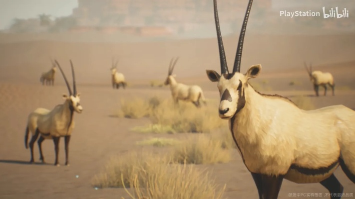 《荒野起源》新宣传片曝光！揭秘神秘试玩背后的惊喜！