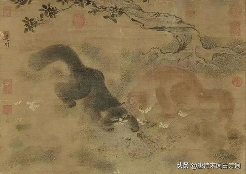 《燕云十六声饮马隘猫戏全攻略，凉州猫戏一网打尽》