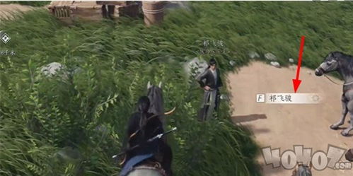 燕云十六声大锤小锤攻略：高效玩法揭秘！