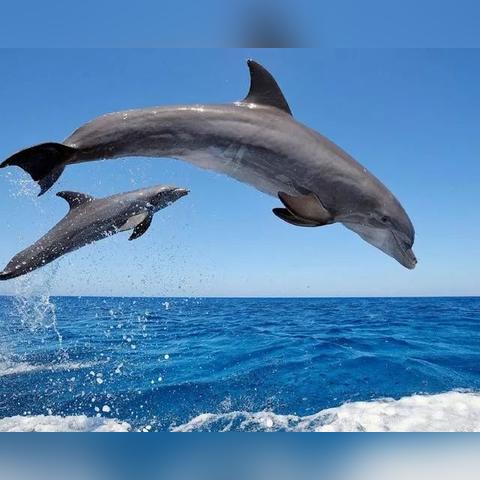 《我的世界水下生存指南：高效换气技巧揭秘》