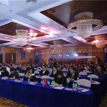 湾区电竞盛宴落幕，青年发展新篇章启航！