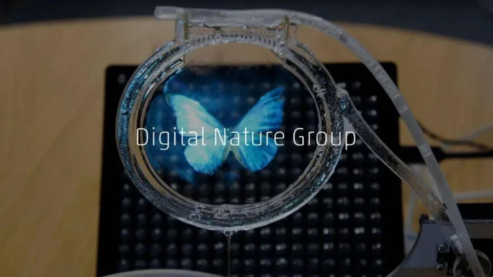 《银鸟工作室揭秘：声波天平与羽毛代码的跨界融合，探索理性本能新边界！》