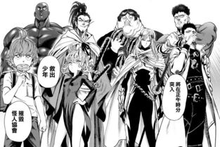 《灵拳游戏语言支持揭秘：中文版在列》