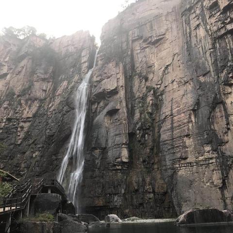 奇蛋生物：揭秘道路与浮桥的神秘机制