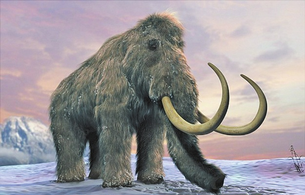 《帕鲁森猛犸捕捉攻略：神秘猛犸出没之地揭秘》