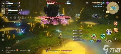 《FF14水晶世界守财夫人攻略：高效通关技巧揭秘》
