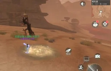 沙丘觉醒：揭秘神秘拍卖行位置攻略