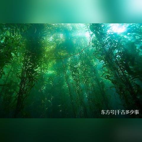 《晴空之下公测兑换码大放送！最新开服码速抢》