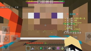 《Minecraft房间号输入攻略：快速找到你的秘密基地》