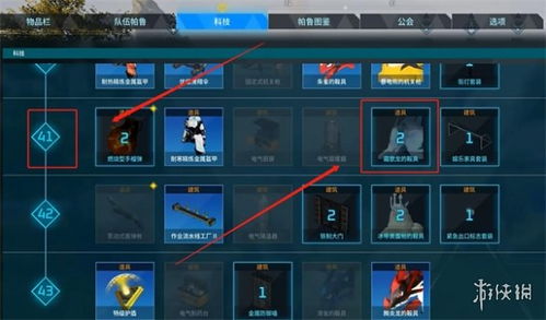 《帕鲁小青龙之滨高效收集攻略，轻松升级！》