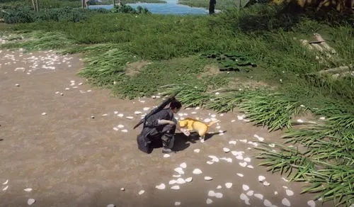 燕云十六声夏日美食秘籍：快乐一夏食谱大公开