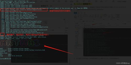 《Minecraft高效清除指令代码汇总，快速上手！》